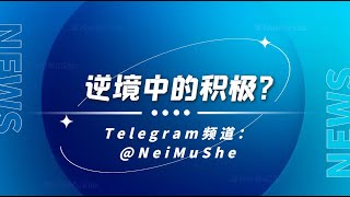 逆境中的积极？|乐观心态 |正面解决方案