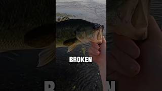 Okay bass experts, guess the weight of these two fish 🤯#fishing #minnesota