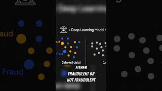Semi Supervised Learning  Detect Fraud with Limited Data  #aivideo #crypto #nextgenai