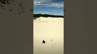 2018澳洲滑沙