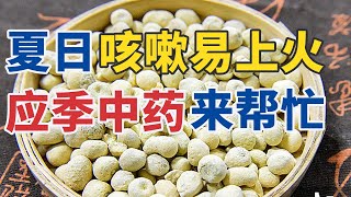 夏日咳嗽易上火 应季中药来帮忙 20250731 应季中药解夏忧（上）| CCTV科教《健康之路》