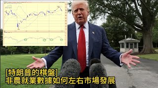 [特朗普的棋盤]非農就業數據如何左右市場發展#4/8/2025#智在必得#張智威