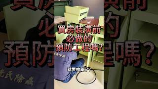 買房知識 | 裝潢前 | 預防工程 | 白蟻 | 噴藥預防 | 亞洲新灣區【亞灣賞哥】