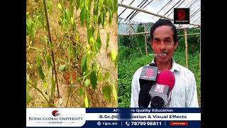 ভূত জলকীয়া খেতিৰে কৰ্মসংস্কৃতি নিদৰ্শন দেখুৱাইছে এজন উদ্যমি কৃষকে।