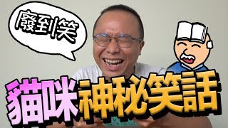 【梅伯】等等，這裡有一個貓咪的故事
