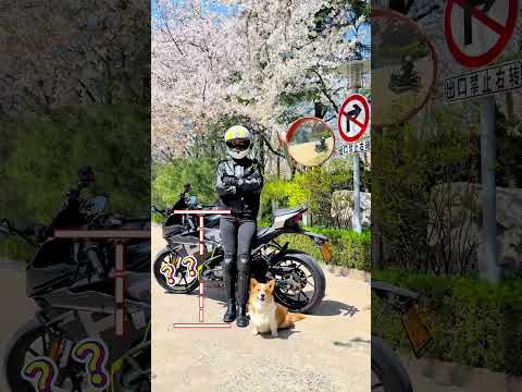 福仔有話說：頭盔雖小 作用超大！
