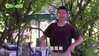 【新北市雙溪】回到祖先的原始山林 簡隆盛挑戰高難度的野蜂養殖 | 有機無毒 | 273 | #美麗心台灣