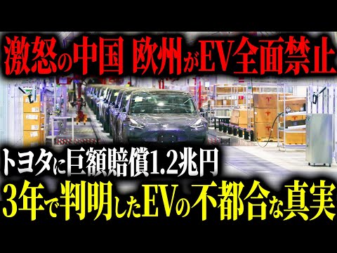 「トヨタが正しかった…」激怒の欧州が中国EV生産停止！EVバブル崩壊でノルウェー崩壊へのカウントダウン【ゆっくり解説】