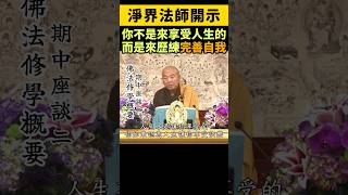 淨界法師：你不是來享受人生的，而是來歷練，完善自我