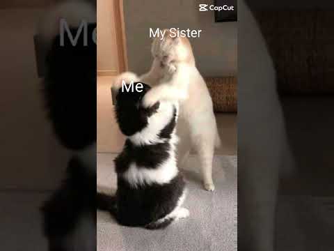 Hehehe🤪🤪
