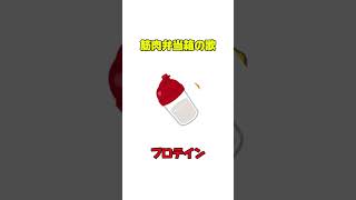 筋肉弁当箱の歌#おべんとうばこのうた #おべんとうのうた #おべんとう #替え歌 #筋トレ