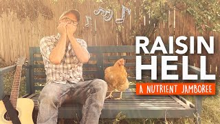 Are raisins a good nutrient in wine or mead? | Raisin Hell: A Nutrient Jamboree