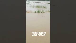 #flood #rainyday #flooddamage #moonsooninpakistan #viralshort