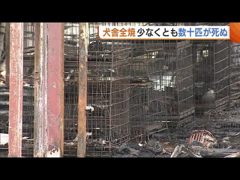 ペットサロンが管理する犬舎が全焼　飼育していた犬など少なくとも数十匹が死ぬ　警察が出火原因調べる　新潟市 (25/04/27 18:13)