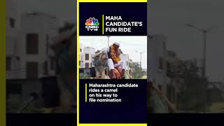 Maharashtra Candidate Rides A Camel On His Way To File Nomination | Lok Sabha Polls | N18S