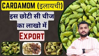 How To Export Cardamom From India || Cardamom Export Business #export #import #importexportbusiness
