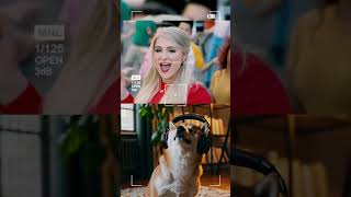Better When I'm dancing ☻ DoggoVibes  #shortvideo #animals #music#shortvideo #reaction #chill