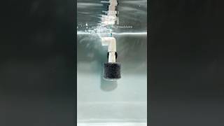 EASY DIY Mini Sponge Filter for Your Nano Aquarium