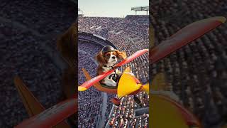 I believe i can fly #aiart #cute #cutedog #aireels #aivideo #cat #catshorts