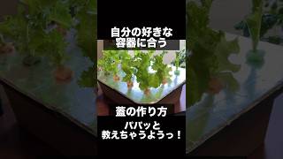 100均ですべて揃う！自分の好きな容器の大きさに合う蓋の作り方#水耕栽培容器#100均#家庭菜園 #室内栽培#野菜#レタス#リーフレタス#100均diy #100均一