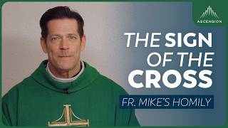 "Signers" | 14th Sunday in Ordinary Time (Fr. Mike's Homily) #sundayhomily