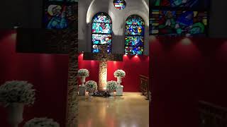 Inside Manila Cathedral #manilacathedral #travel #wanderlust #holyplace
