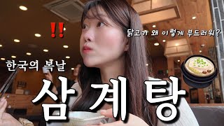【Eat Show】Japanese Wife Shocked After Eating Samgyetang at a Restaurant on Boknal 🇯🇵