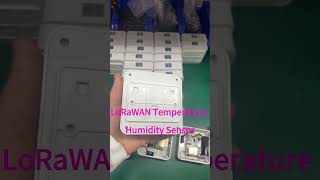 Winext Wireless LoRaWAN Temperature Humidity Sensor with 8000 mAh Battery #lorawan #iot #smarthome