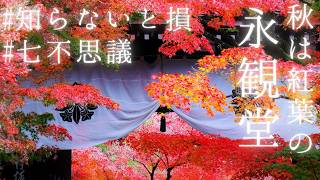 【絶景紅葉】永観堂（禅林寺）庭園の見どころと七不思議？一人旅京都おすすめ！