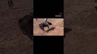 Everyday Grind #bullriding #buckingbulls  #workforit  #exercises  #worldchampion