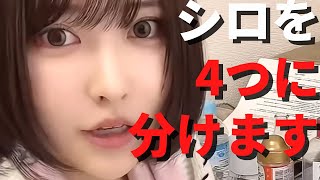 【驚愕】シロを4つに分けます…