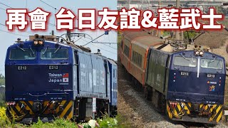 【南海再會與感謝】藍武士&台日友誼回顧 逝去的南海藍