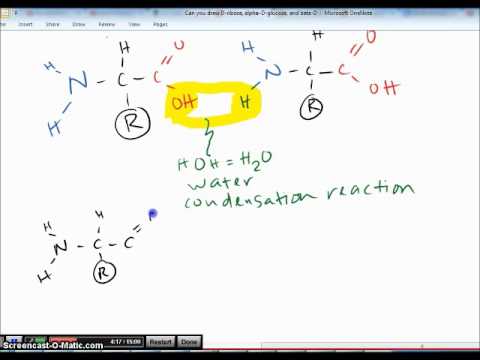 polypeptide