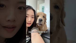 그렇게 우디는 저희의 가족이 되었어요!🤍