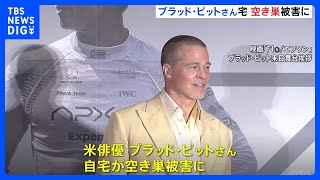 ブラッド・ピットさんのロサンゼルスの自宅に空き巣　金品など盗まれる　新作映画の宣伝のため来日中｜TBS NEWS DIG