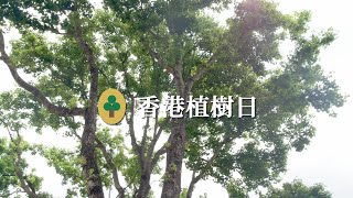 【活動花絮】香港植樹日2024