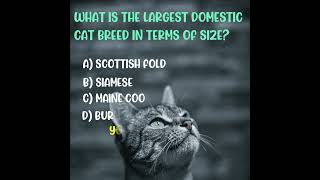 cat quiz  #cat #gk #quiz