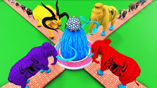 10 Mammoth Elephant vs 10 Cow Buffalo Bull Fountain Crossing Animal Transformation Paint Animals