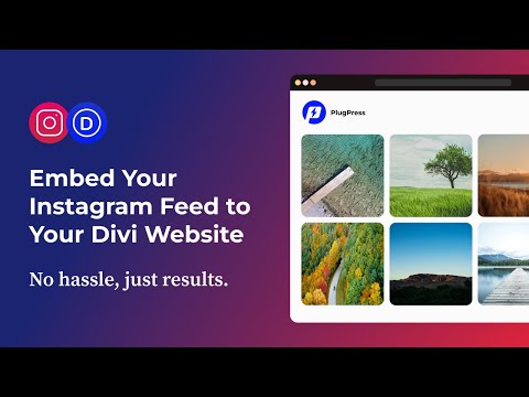 Embed Your Instagram Feed to Your Divi Website (Easy Way) | Divi Instagram Feed Pro