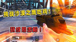 鸡大宝：挑战沙漠之鹰吃鸡，后坐力奇大，被我玩成了狙击枪！