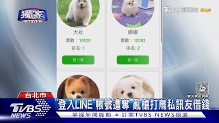 #獨家 請幫我投票! 要求登入「LINE帳號」小心有詐｜TVBS新聞 @TVBSNEWS01