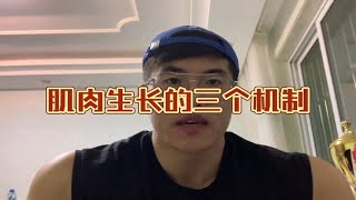 传说中肌肉生长的三个机制，听懂直接少练两年