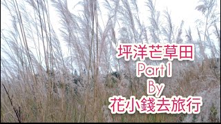 坪洋芒草田part1@新界尋幽探勝之粉嶺打鼓嶺第二回