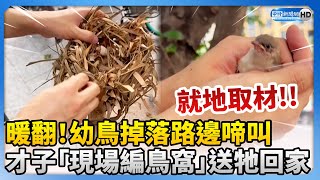 暖翻！幼鳥掉落路邊啼叫　才子「現場編鳥窩」送牠回家！@ChinaTimes