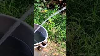 World Smallest Water Pump 💦⚡ #shorts #miniwaterpump
