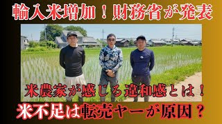 Farmers feel uncomfortable as Ministry of Finance announces increase in rice imports. Is the resa...