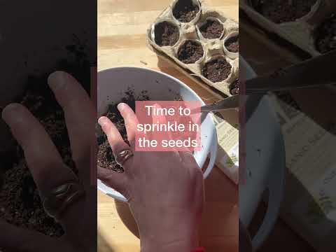 Plant seeds in egg shells for Earth Day or Christmas the cutest addition to your Easter table.