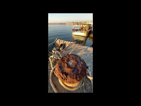 海山漁港隨拍影片 Prat 1