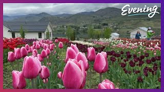Manson on Lake Chelan is a small town with big appeal