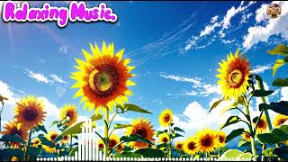 Sunflower Field 🌻 Paino Relaxing Music., Music For Working,study,coffee,tea,sleep,chill,imagination